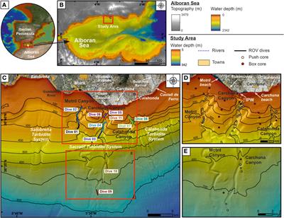 Origin and driving mechanisms of marine litter in the shelf-incised Motril, Carchuna, and Calahonda canyons (northern Alboran Sea)